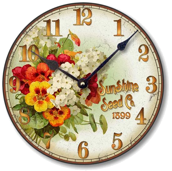 Floral Flower Background Clipart