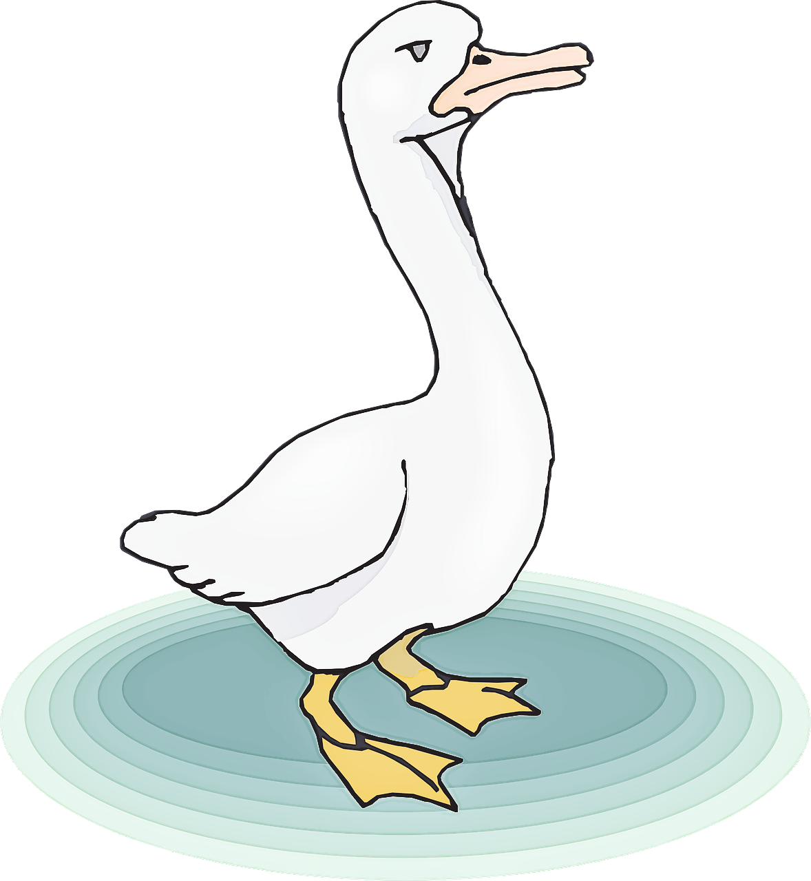 bird beak goose seabird water bird Clipart