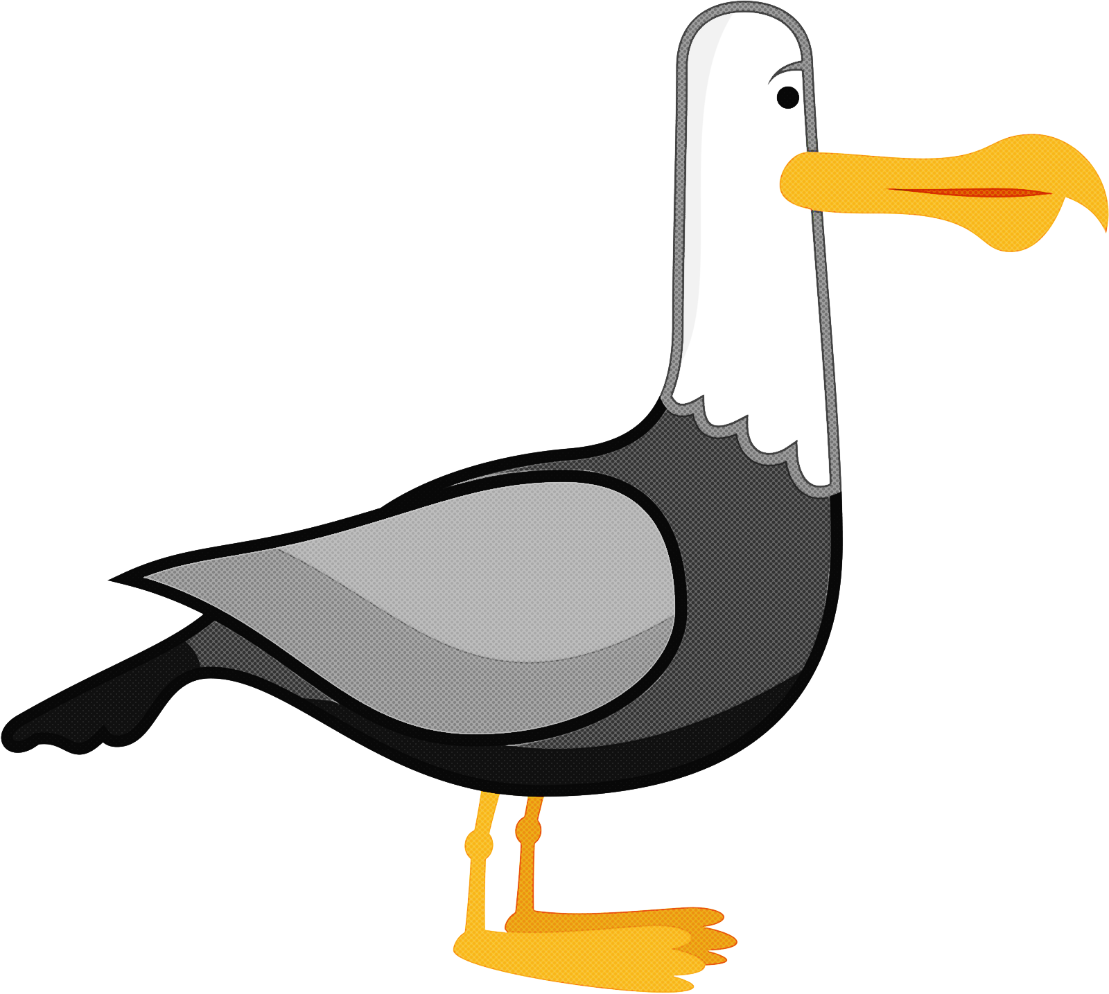 bird beak seabird cartoon gull Clipart