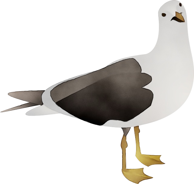 bird beak european herring gull gull seabird Clipart