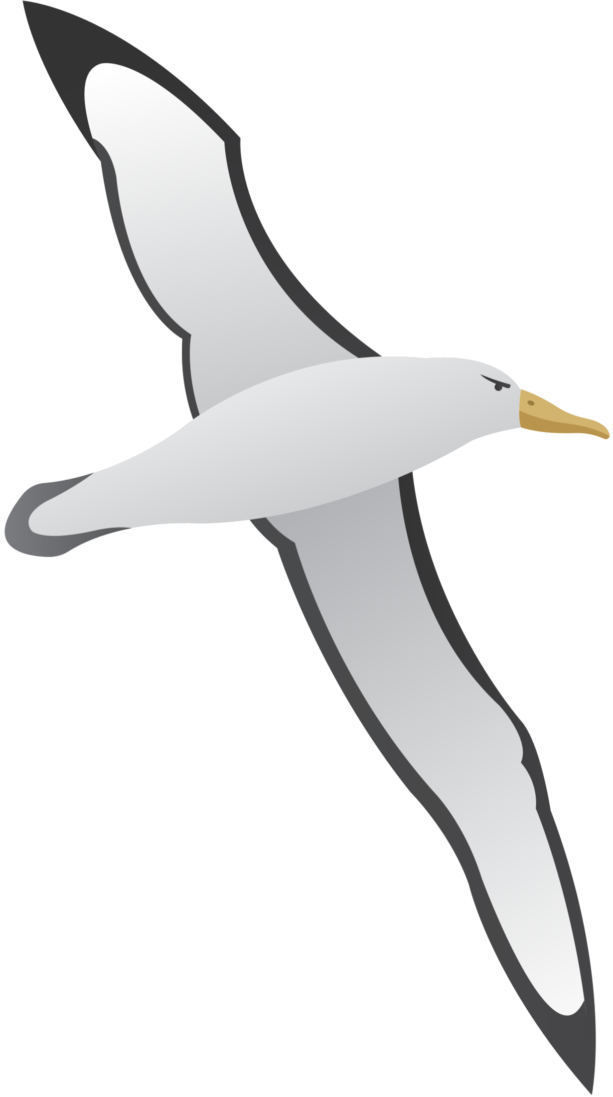Cartoon Bird Clipart