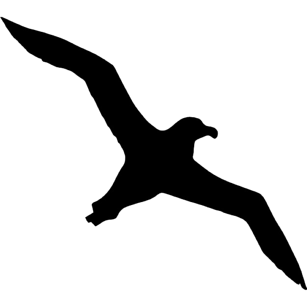 Bird Line Drawing Clipart