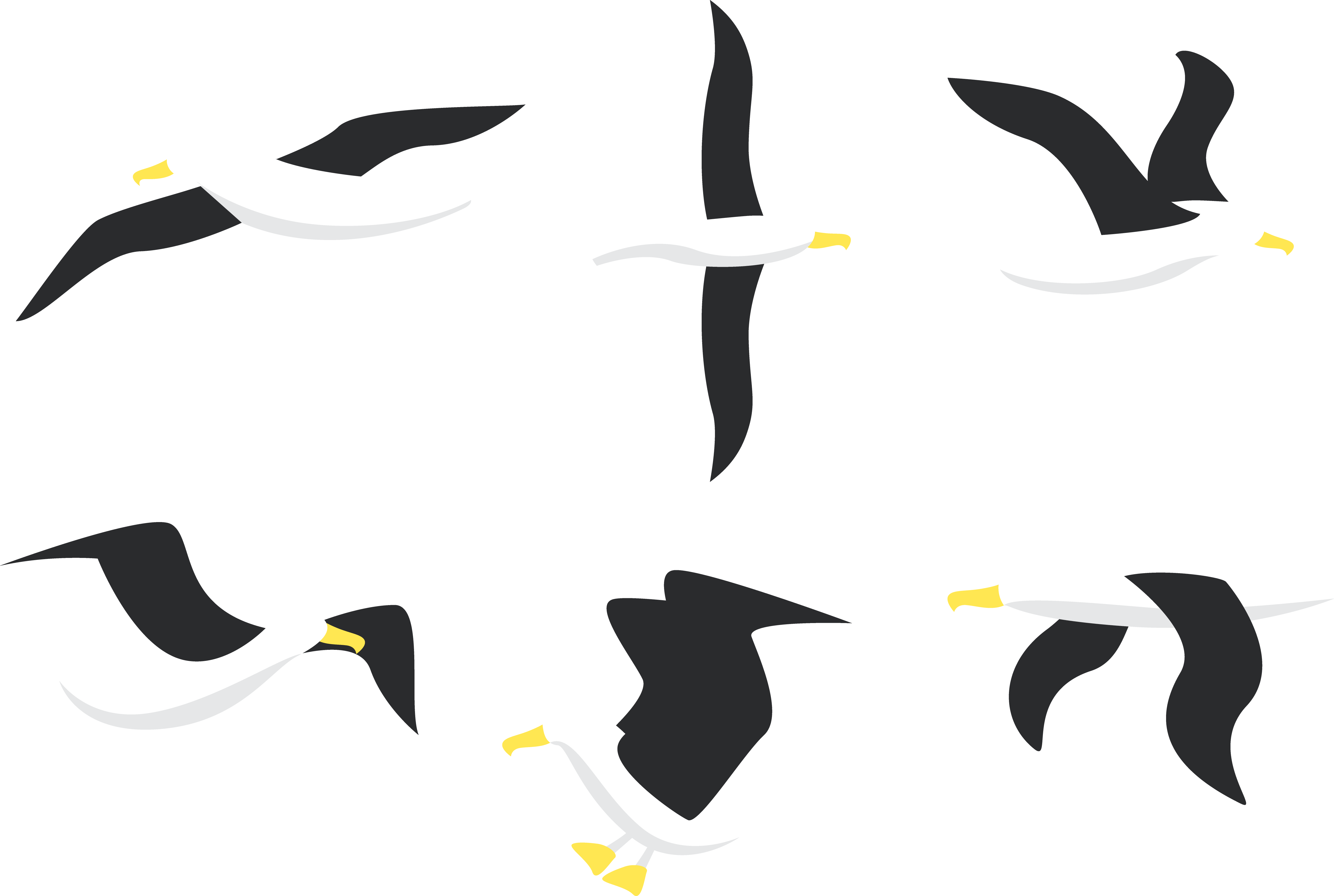 Bird Line Drawing Clipart