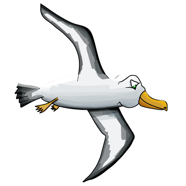 Cartoon Bird Clipart