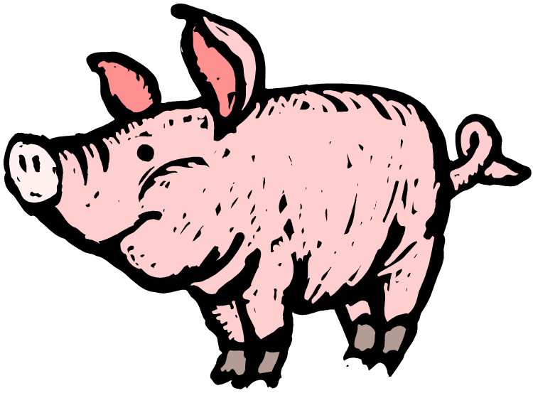 Pig Cartoon Clipart