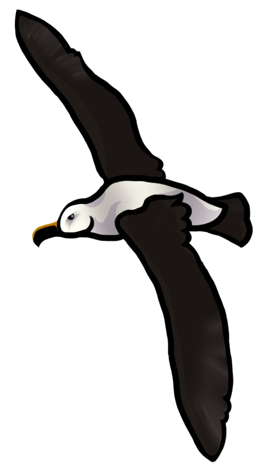 Bird Cartoon Clipart