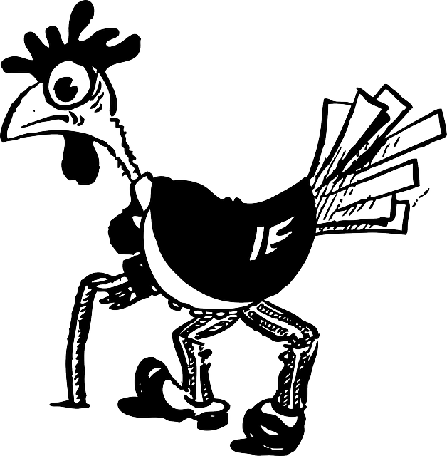Bird Line Drawing Clipart