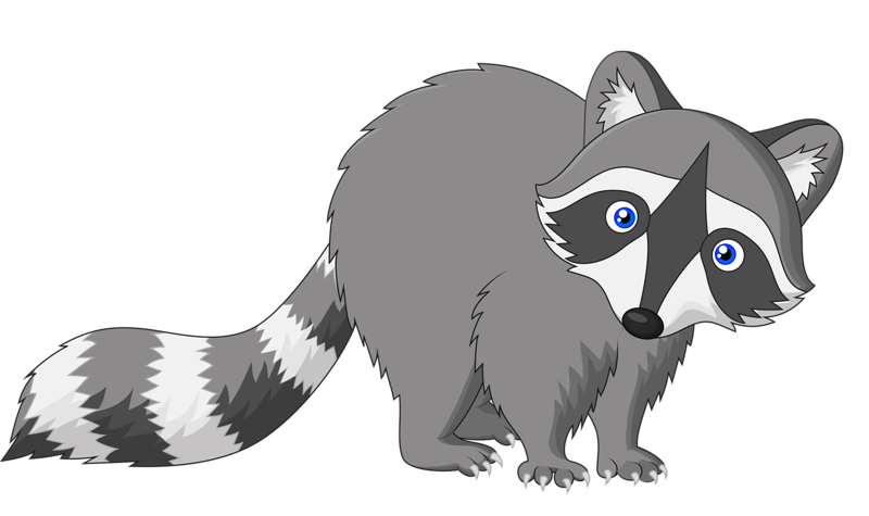 Fox Drawing Clipart