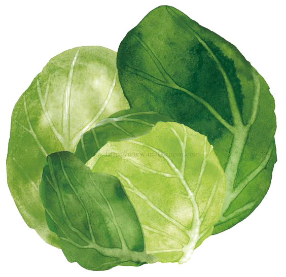 Green Leaf Watercolor Clipart