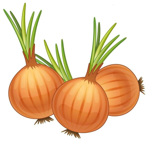 Onion Cartoon Clipart