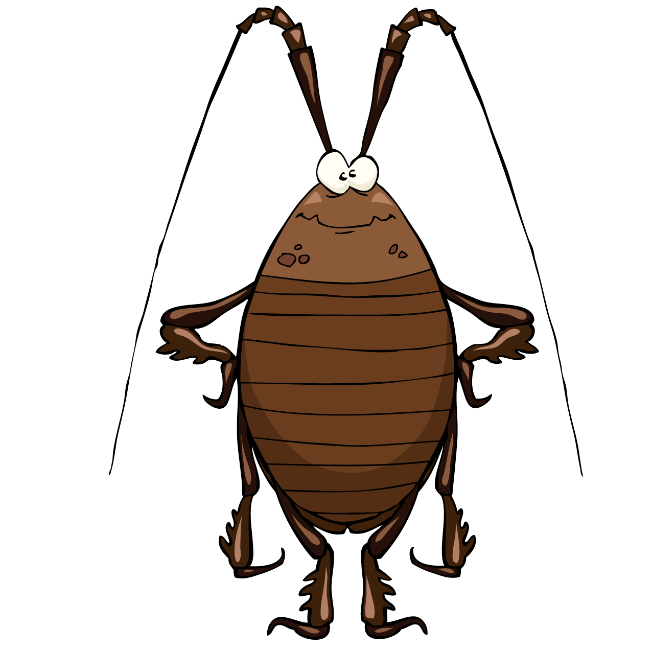 Cockroach Cartoon Clipart