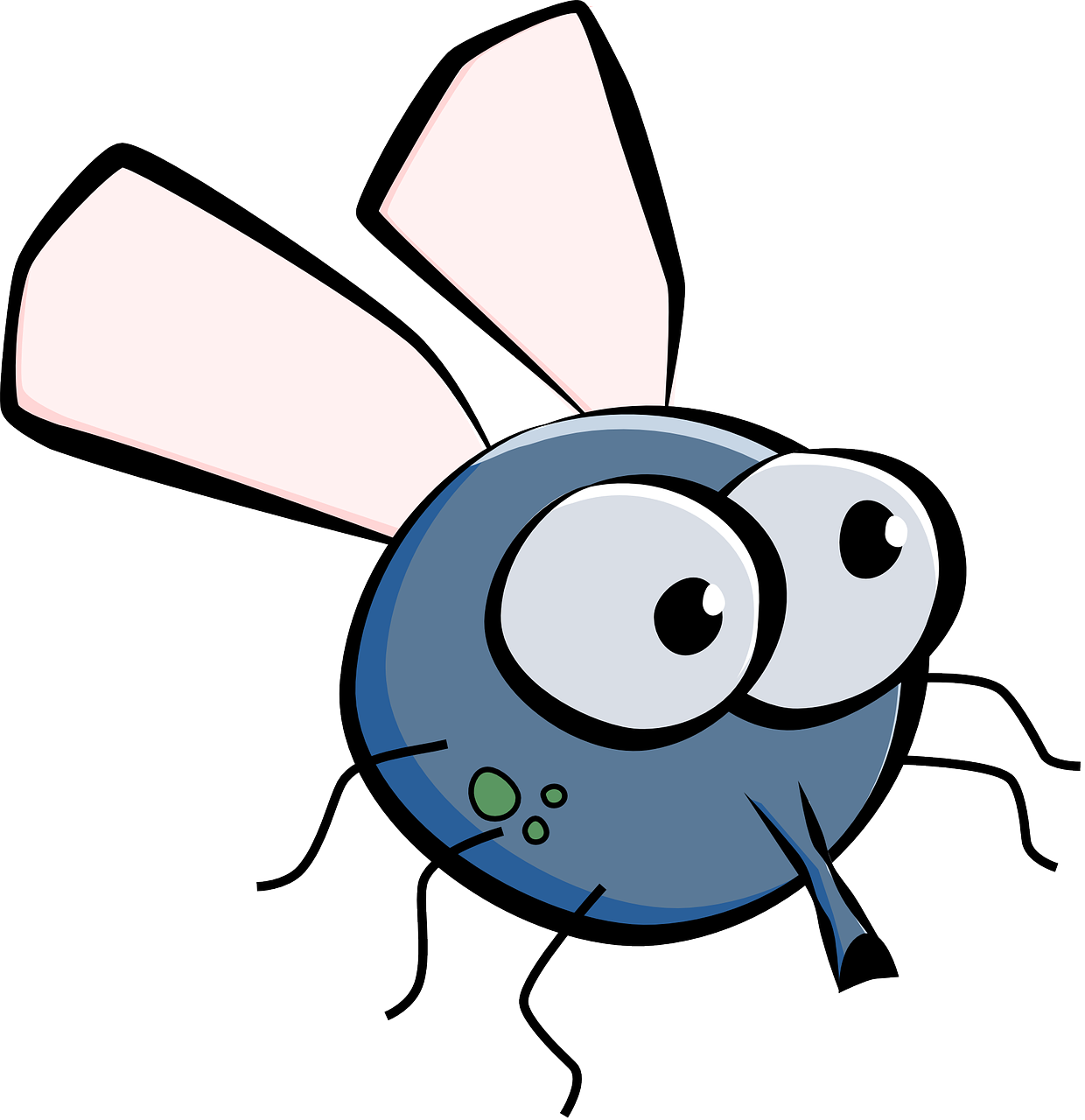 Insect Insect Clipart