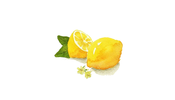 Lemon Drawing Clipart