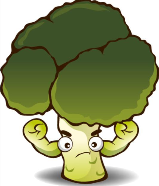 Turtle Cartoon Clipart