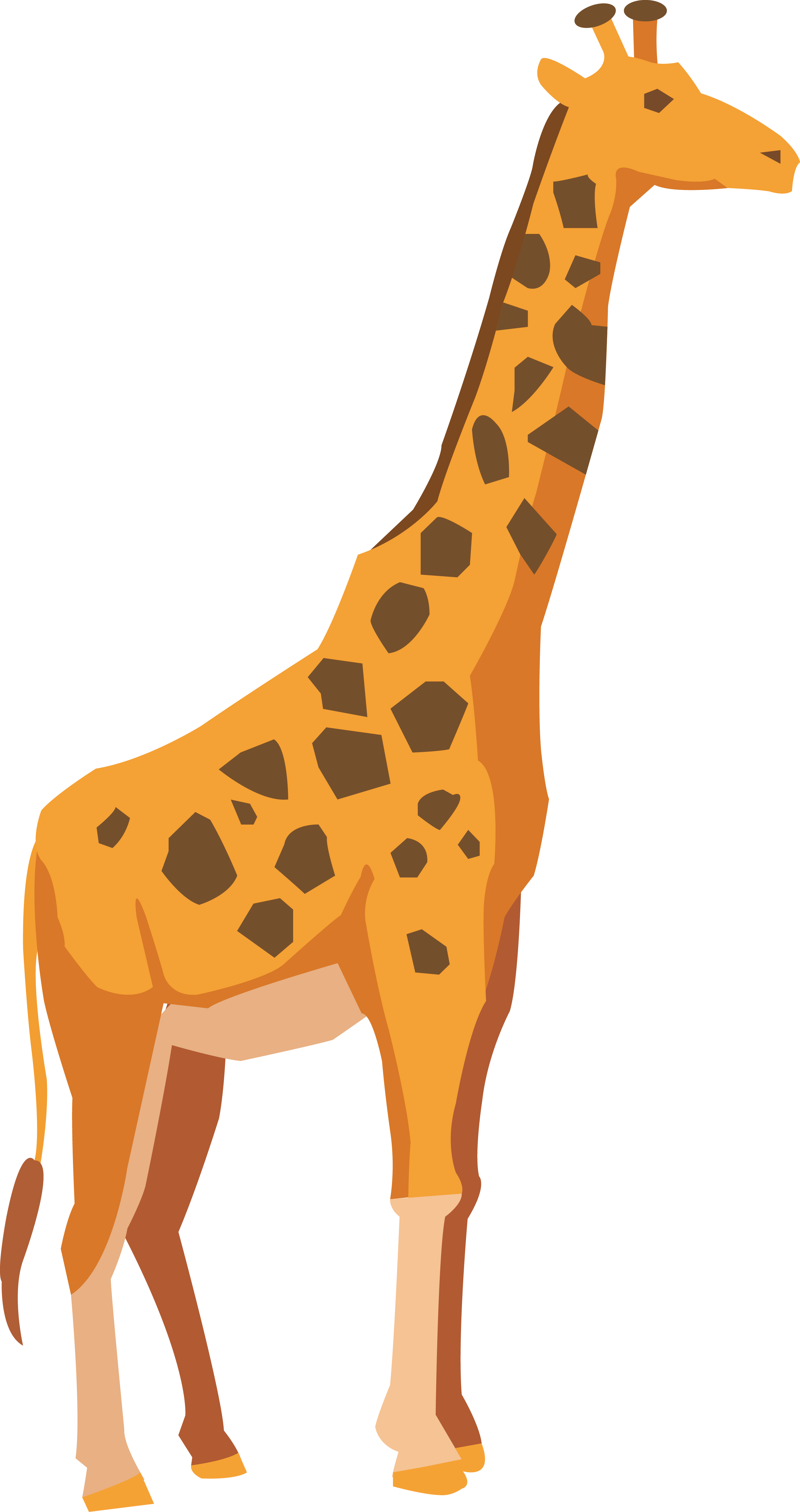 Giraffe Cartoon Clipart