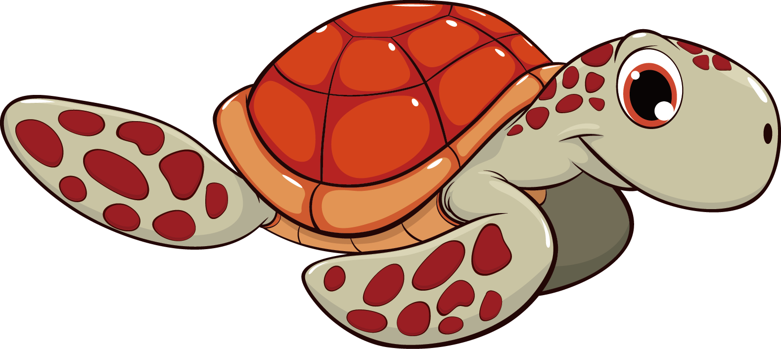 Sea Turtle Background Clipart
