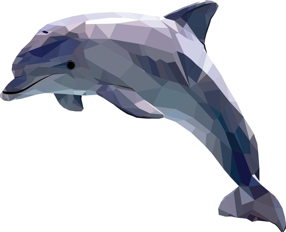 Dolphin Cartoon Clipart