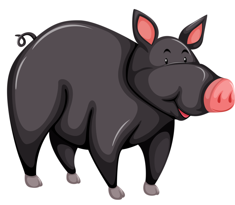 Pig Cartoon Clipart