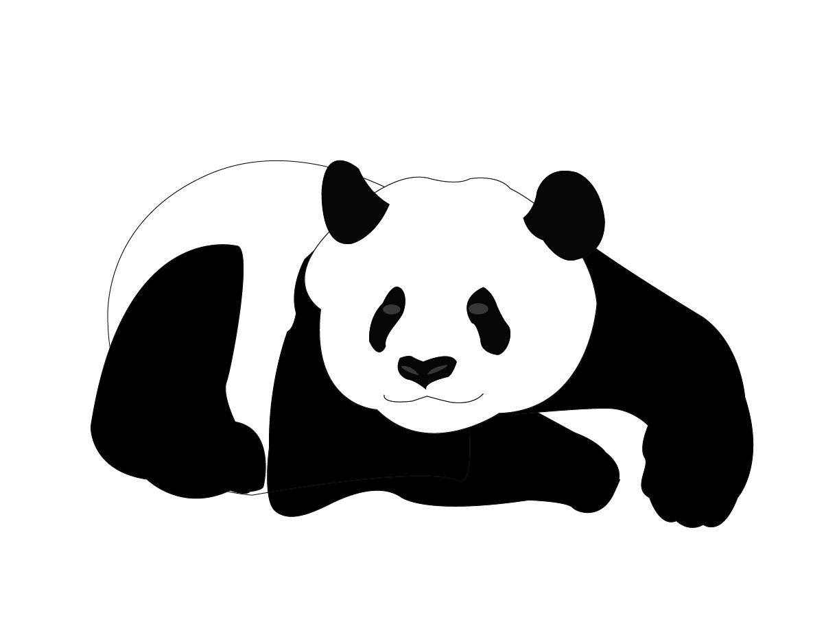 Bear Cartoon Clipart
