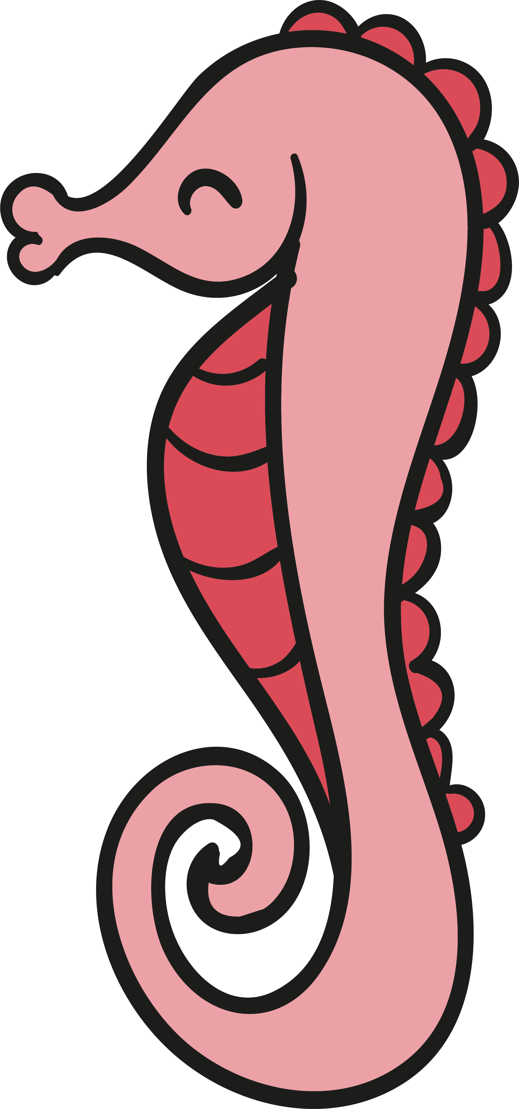 Pink Background Clipart