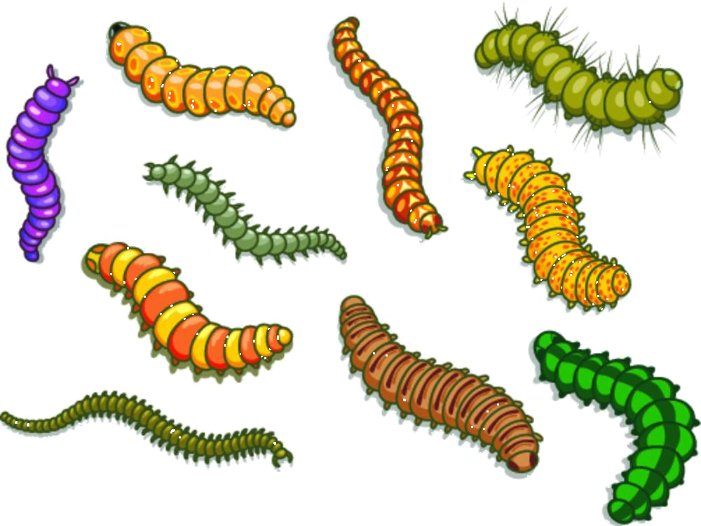 Caterpillar Cartoon Clipart