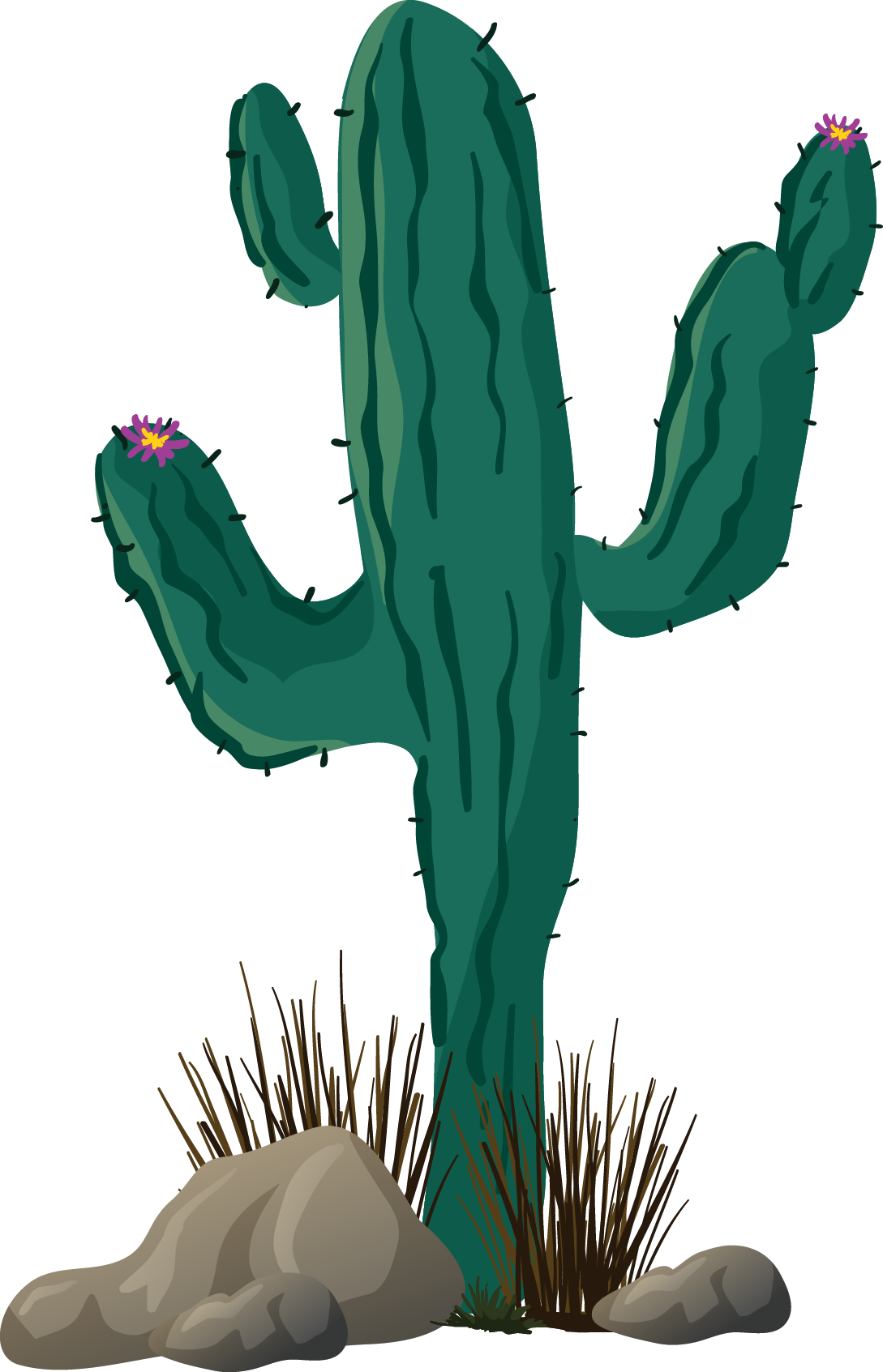 Cactus Cartoon Clipart