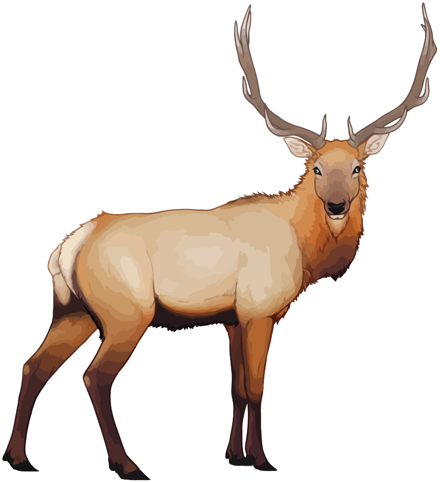 Reindeer Cartoon Clipart