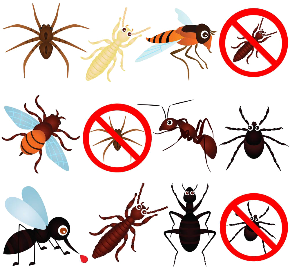 Bed Cartoon Clipart
