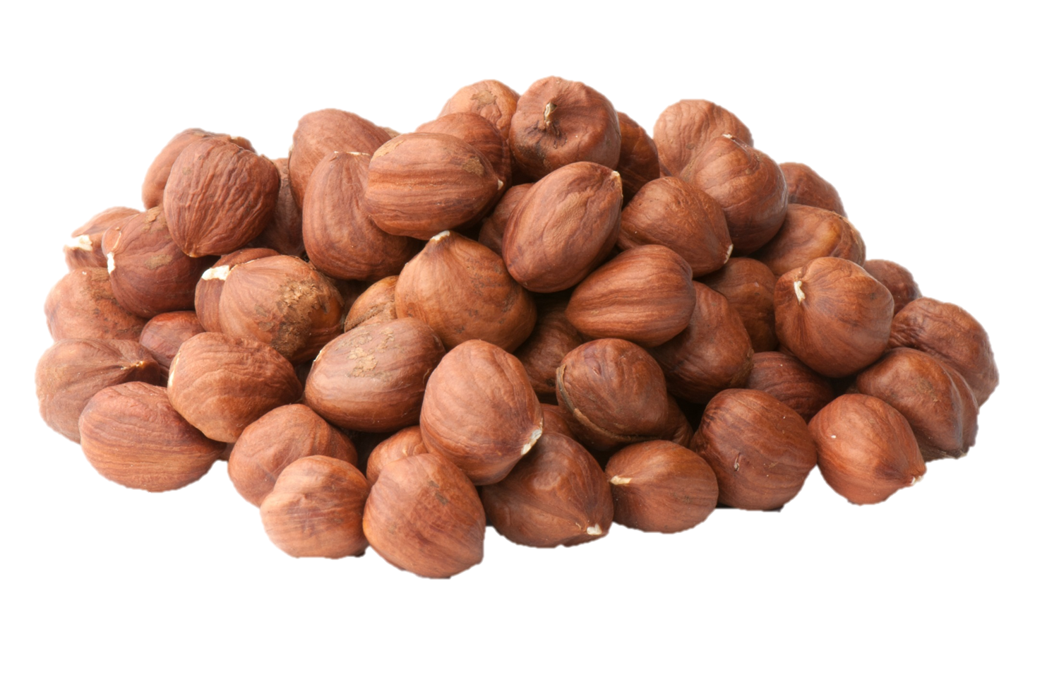 Walnut Tree Clipart