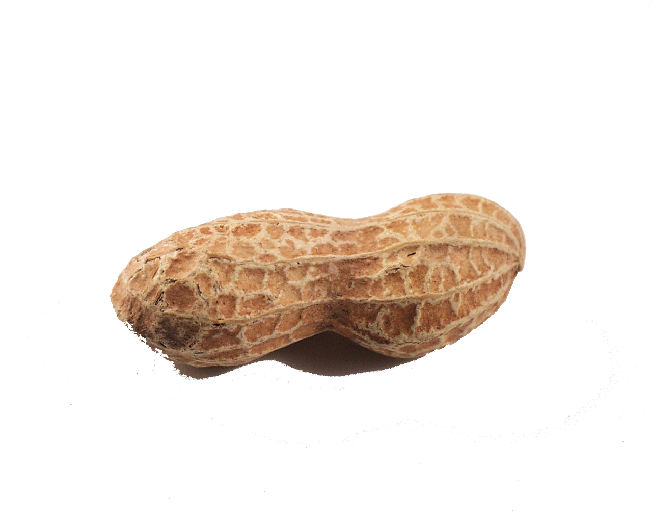 Food Cartoon Clipart