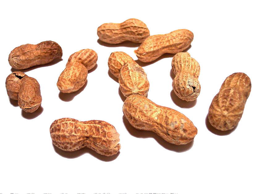 Peanut Food Clipart