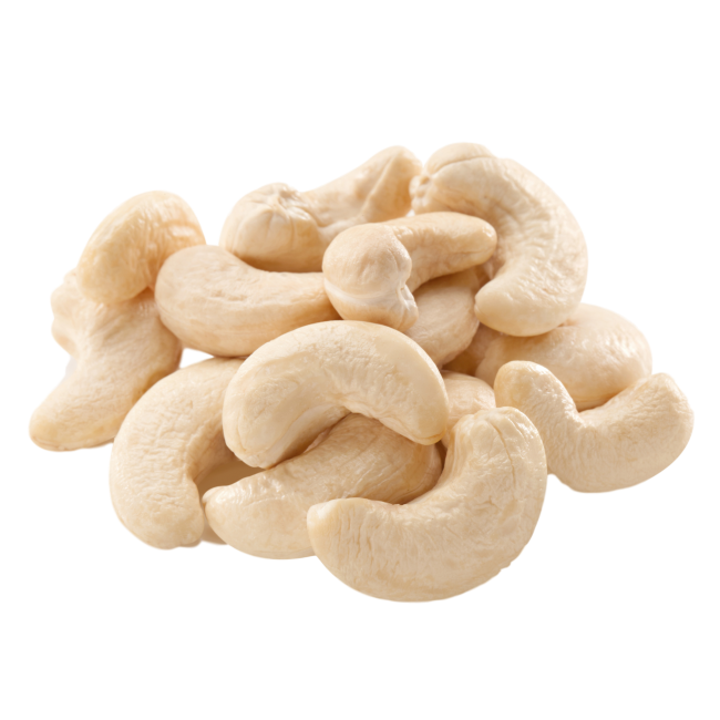 Cashew Tree Clipart