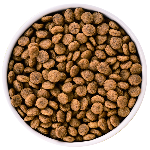 Dog Food Clipart