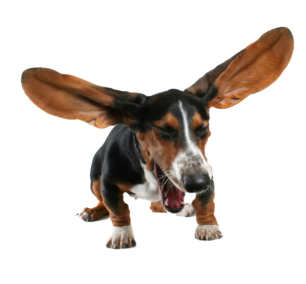 Dogs Cartoon Clipart