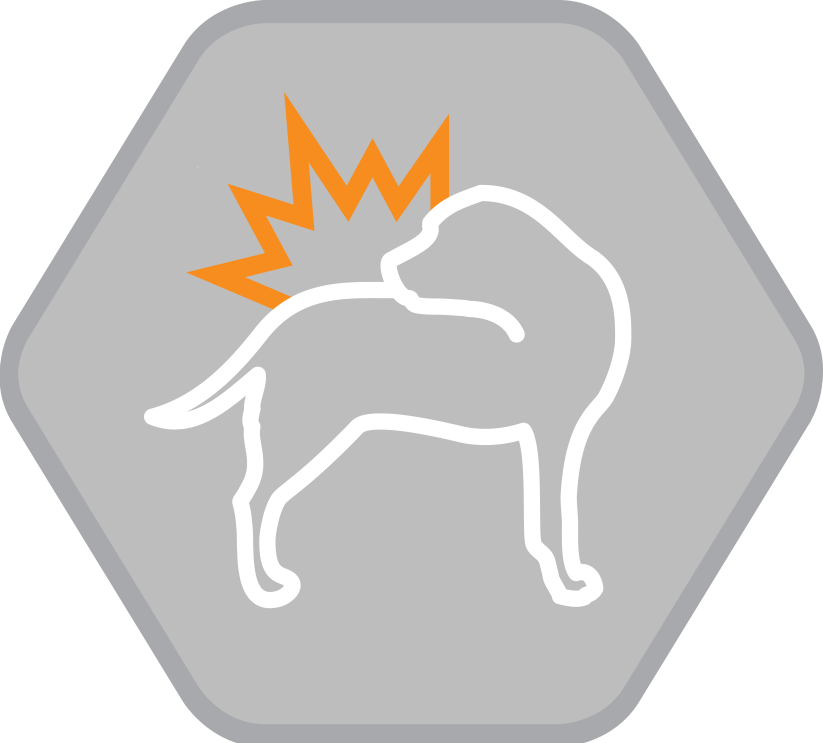 Dogs Cartoon Clipart