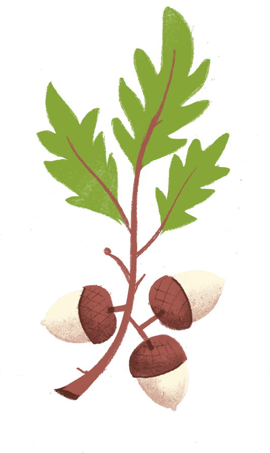 Fruit Tree Clipart