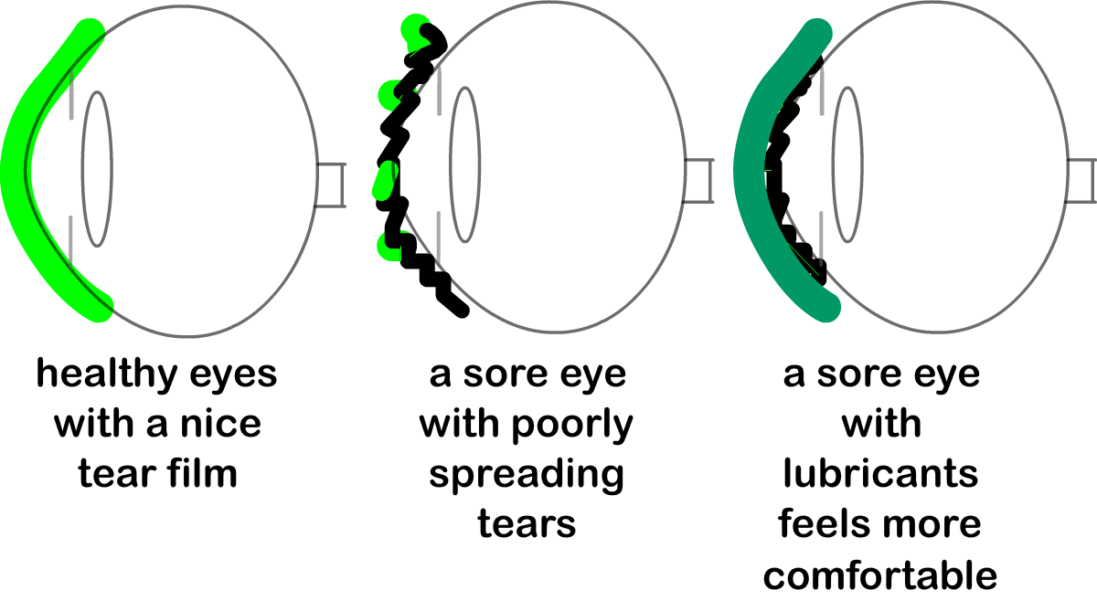 Eye Cartoon Clipart