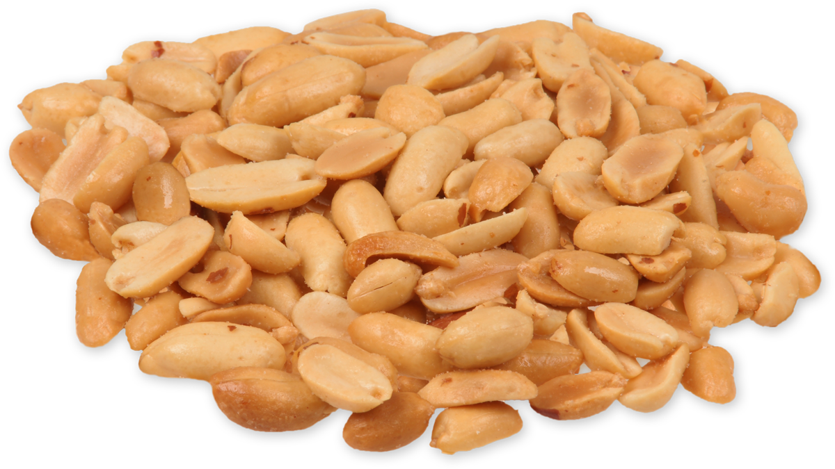 Food Cartoon Clipart