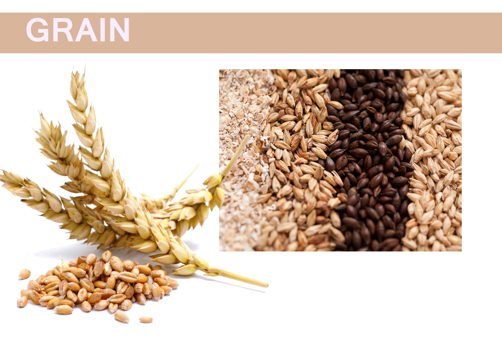 Cartoon Grass Clipart