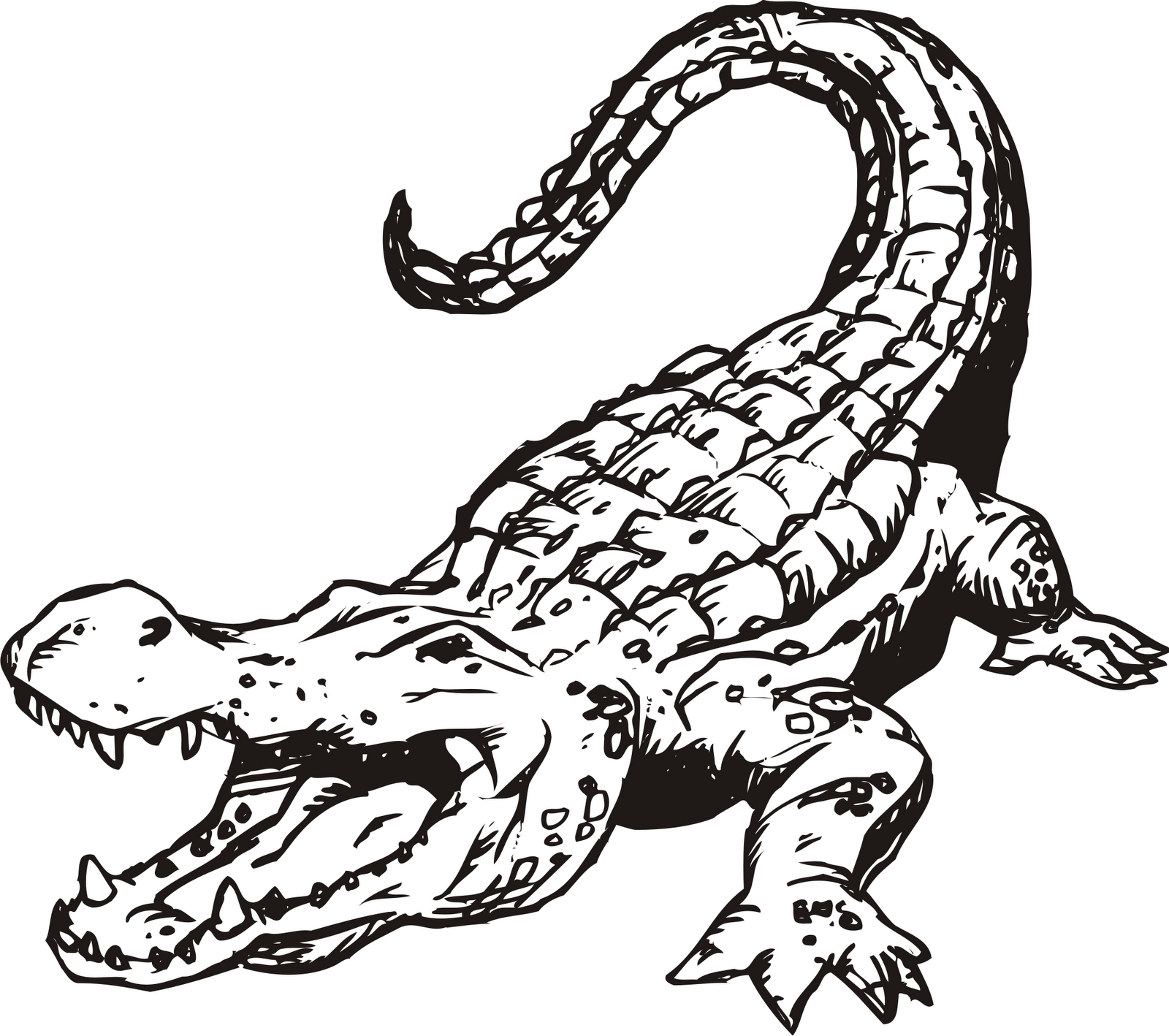 Alligator Download Png Clipart