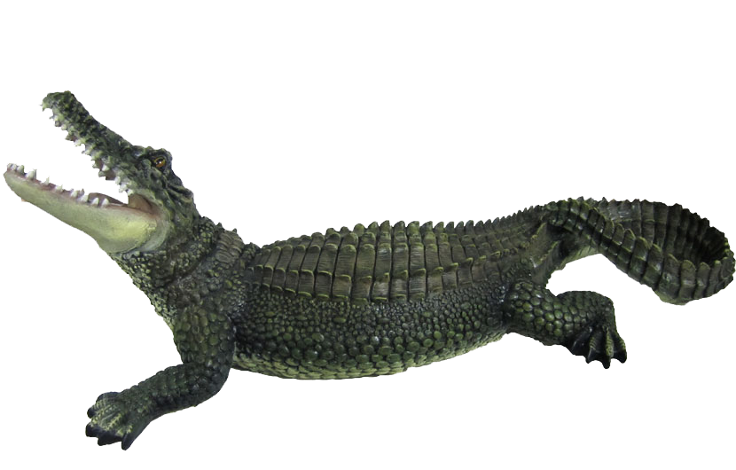 Alligator Cartoon Clipart