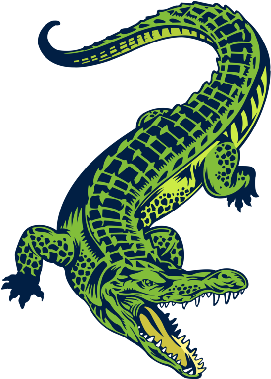 Alligator Cartoon Clipart