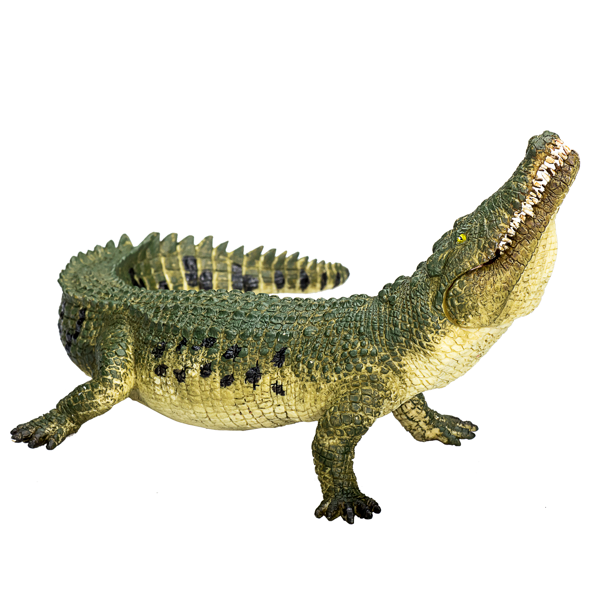 Dinosaur Clipart Clipart