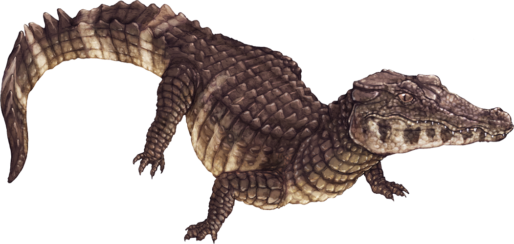 Velociraptor Background Clipart