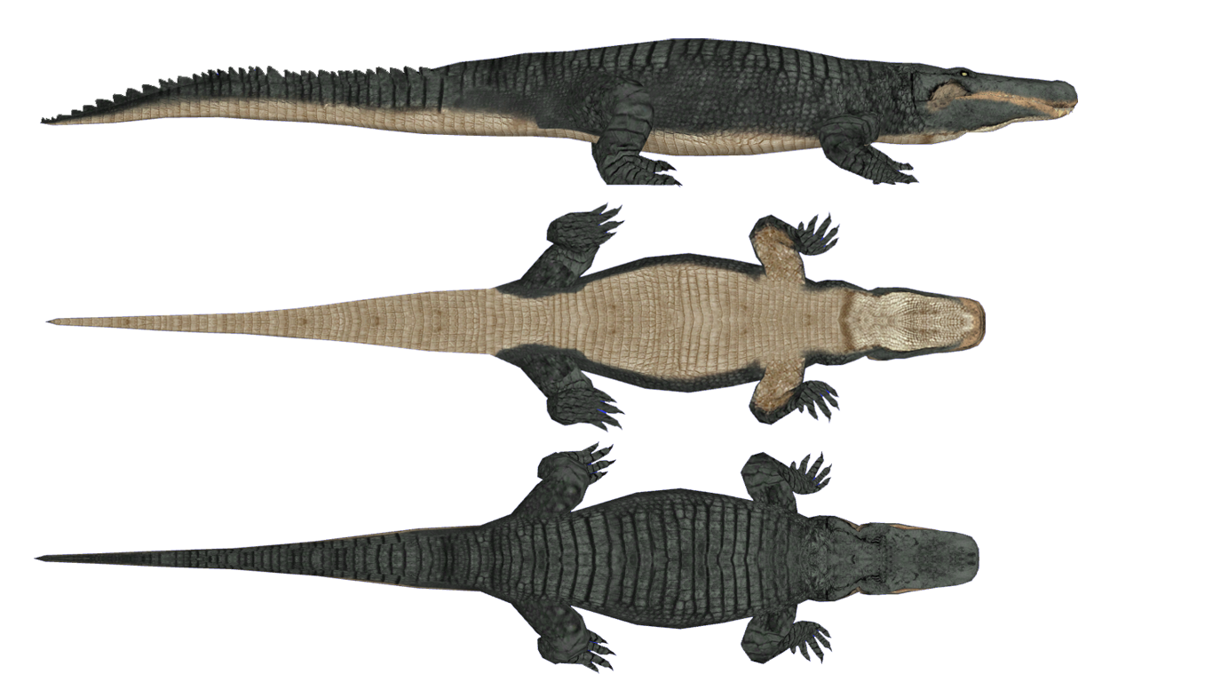 Pond Cartoon Clipart