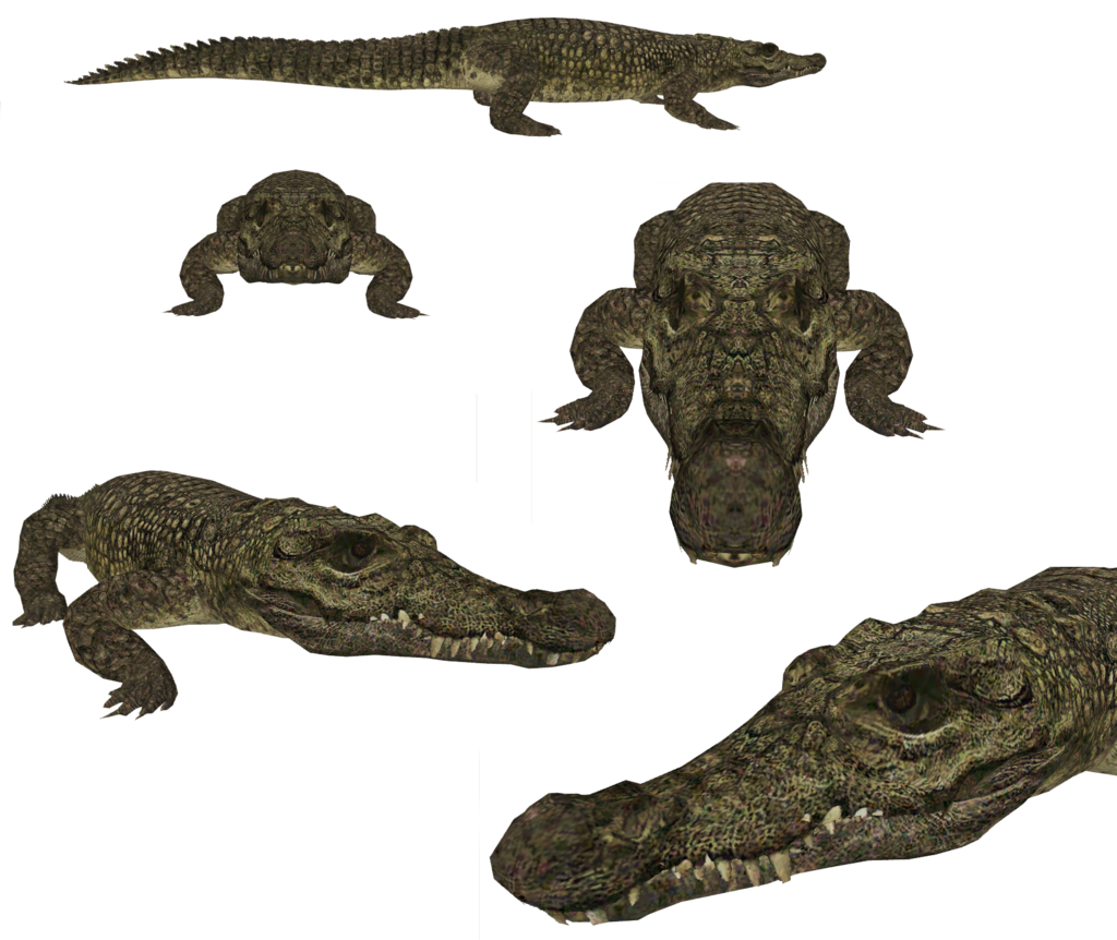 Alligator Cartoon Clipart