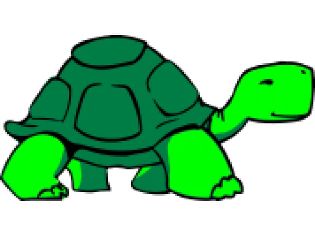Sea Turtle Background Clipart
