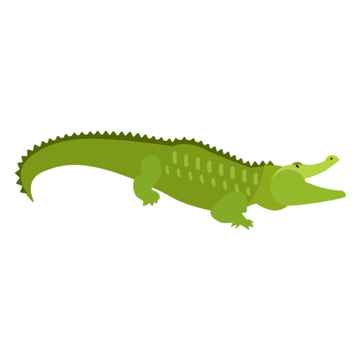 Alligator Cartoon Clipart