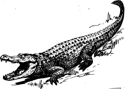 Alligator Vector In Open Office Drawing Svg Clipart
