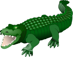 Alligator A For You Hd Photos Clipart